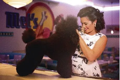 Peluqueria canina Madogna — Peluquería en Elx