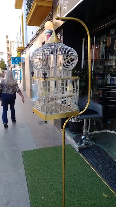 Bambino barbershop — Peluquería en Elx
