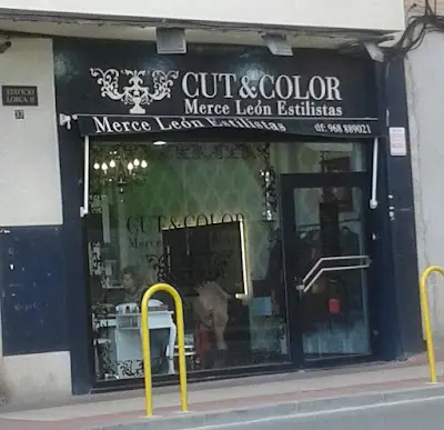 Cut & Color Merce León Estilistas — Peluquería en Murcia