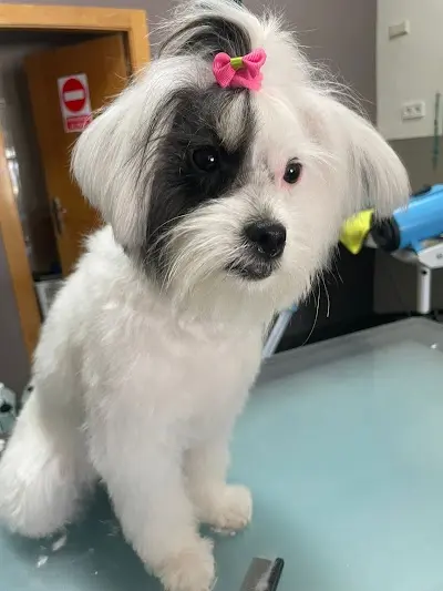 Peluquería Belén Estilista — Peluquería en Jumilla