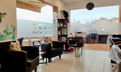 Zest Hair & Beauty Salon — Peluquería en Orihuela