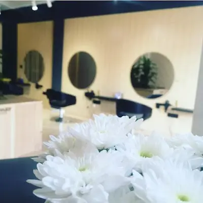 Lappelu — Peluquería en Pinoso