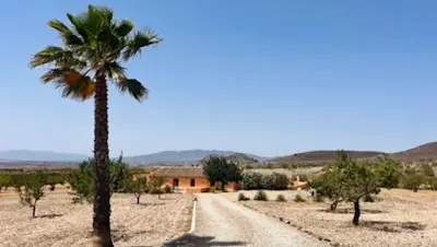 Finca Todos Felices — Peluquería en Cartagena