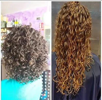 Sagrario Sánchez Arias — Peluquería en San Cayetano