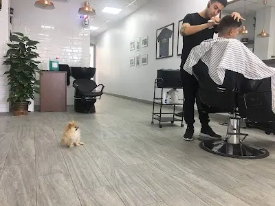 La barbería de Isidro Vela — Peluquería en Santo Ángel